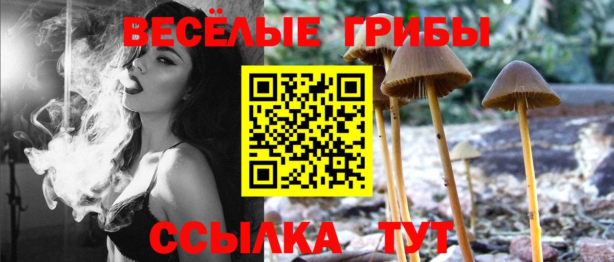 Галлюциногенные грибы Psilocybine cubensis  Вход с VPN  хочу наркоту  Губаха 